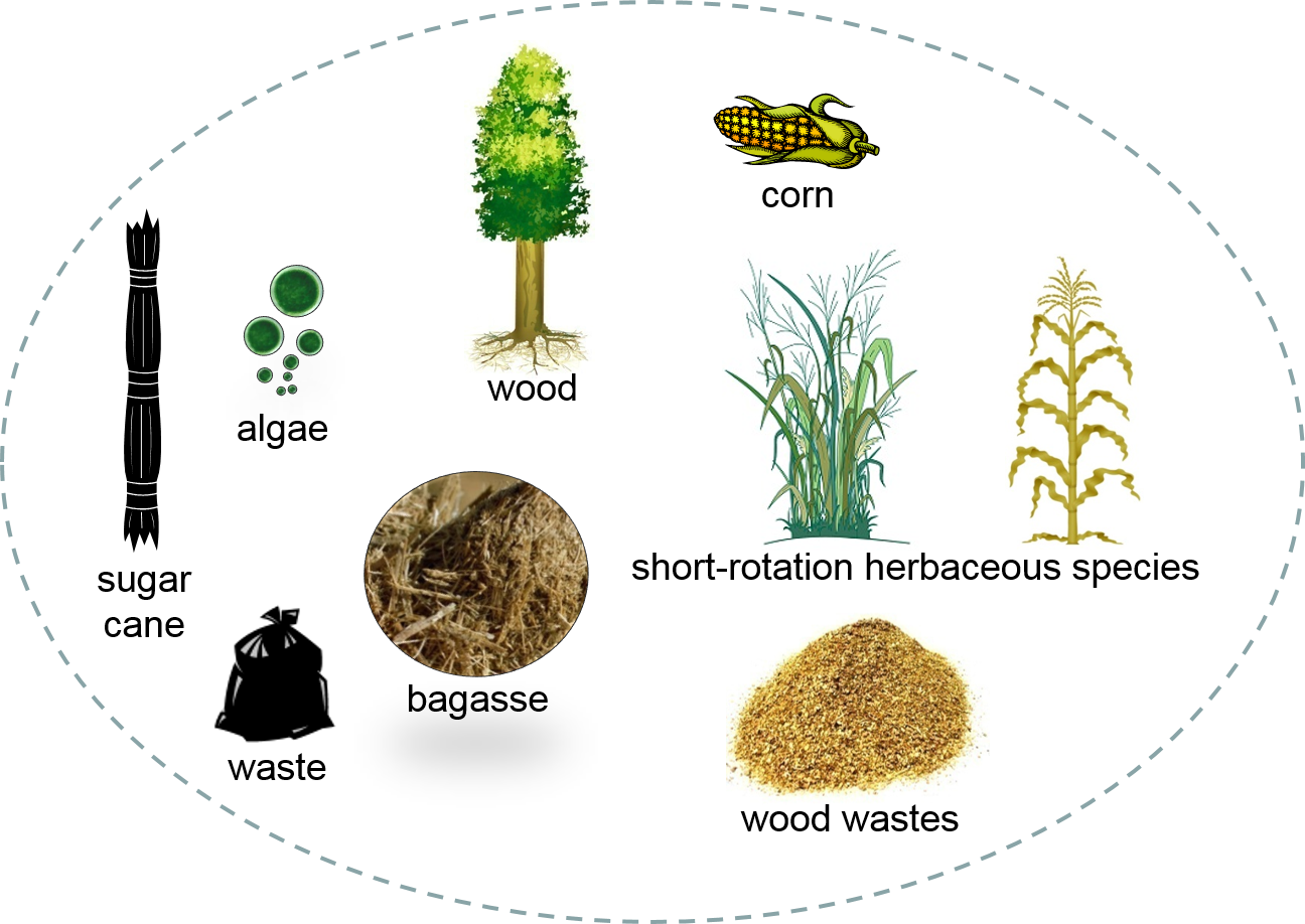 Renewable chemicals and technology