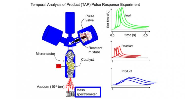 Analyzing complex reaction networks through transient techniques and steady-state kinetic studies