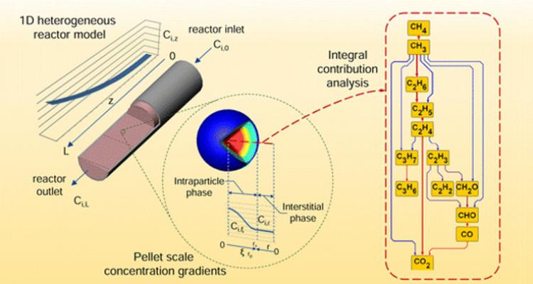 Multi-scale design of reactors for catalyzed processes