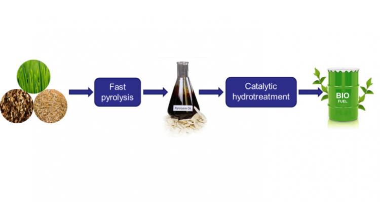 Using hydrotreatment to upgrade conventional and renewable oil fractions and achieve cleaner emissions 