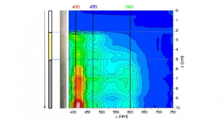 Providing chemical insights to use biomass as a resource for high-value chemicals