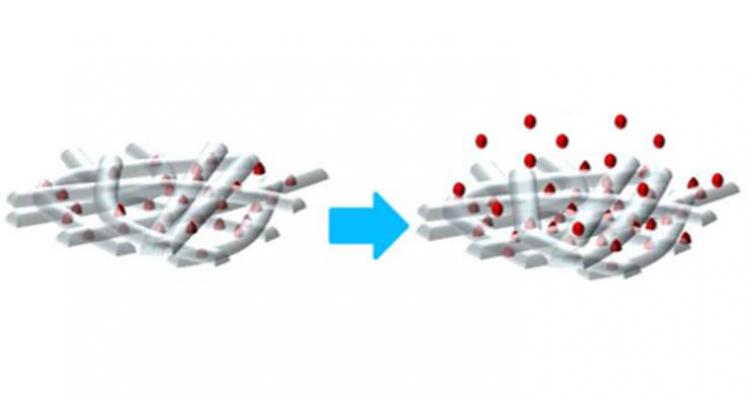 Multi-functional nanostructured materials Multi-functional nanostructured materials
