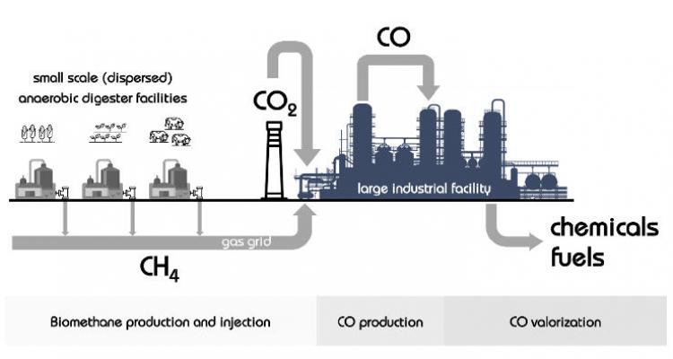 Biogas as a source for platform chemicals