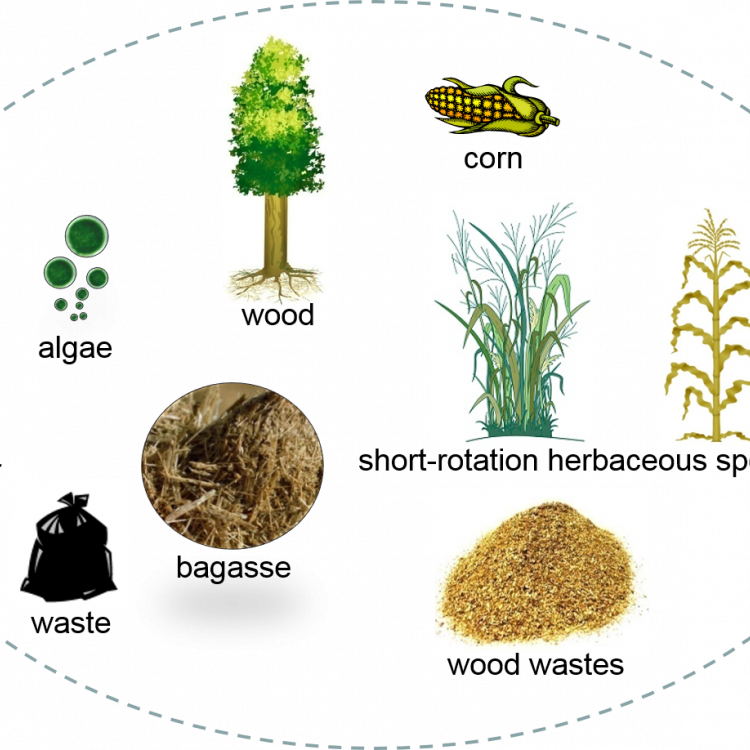 Renewable chemicals and technology